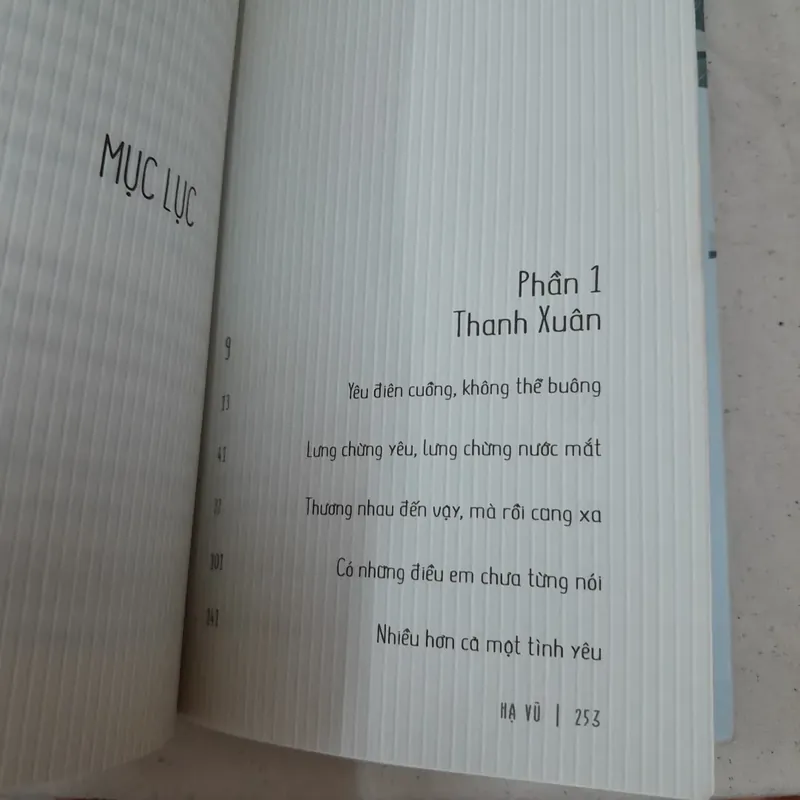 Anh chính là thanh xuân của em. Hạ Vũ 596029