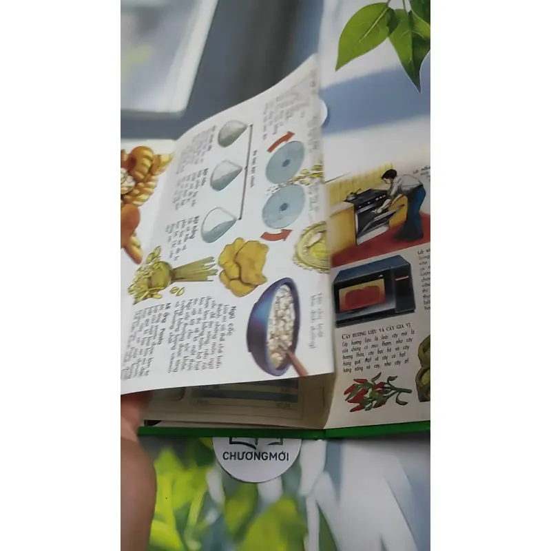 Thực Phẩm - Sự Kỳ Diệu Của Sinh Học (1998) 727307