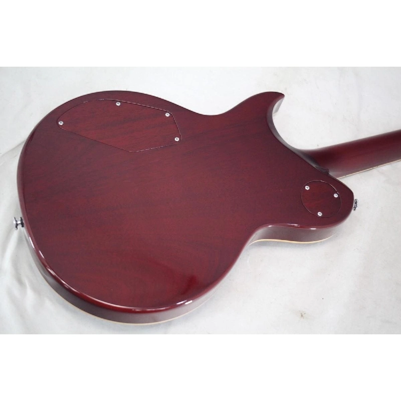 ＡＰＩＩ ＰＥ－５３４０ＣＥ - Hàng hiệu Authentic 884500