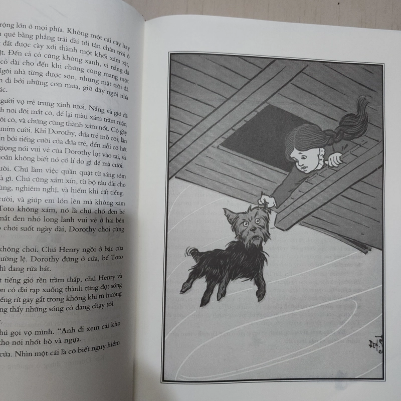 Sách Dorothy và xứ Oz diệu kỳ của L. Frank Baum mới 99% 534186