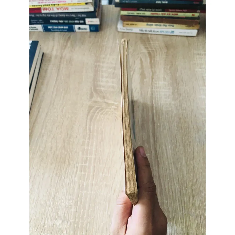 THẾ THỨ CÁC TRIỀU VUA VIỆT NAM  1029165