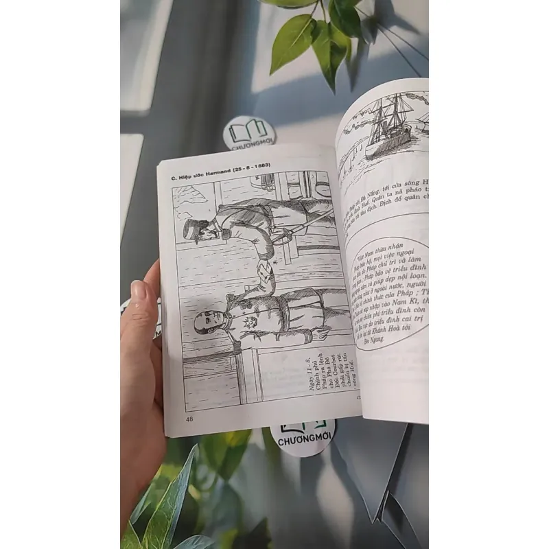 Theo Dòng Lịch Sử Việt Nam - Triều Nguyễn Đại Bại 43 - Lý Thái Thuận 970239