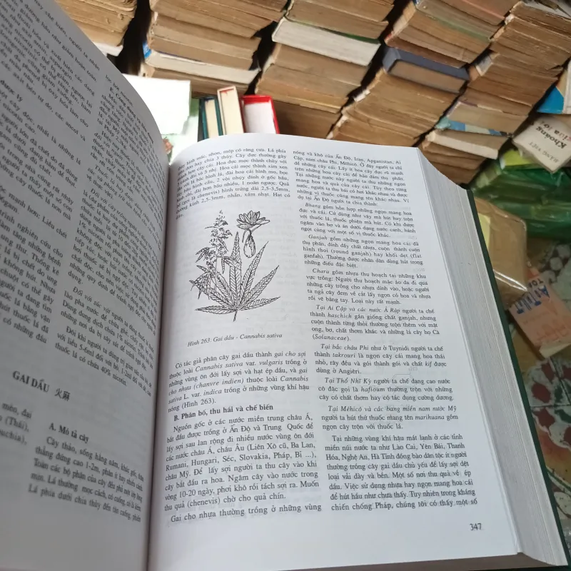 Những Cây Thuốc Và Vị Thuốc Việt Nam- Đỗ Tất Lợi 779566