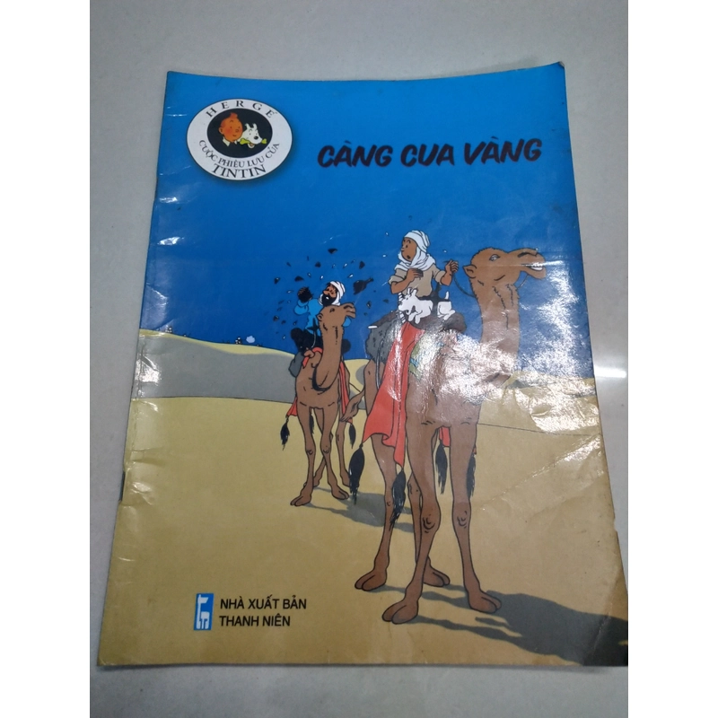 Tintin càng cua vàng  502825