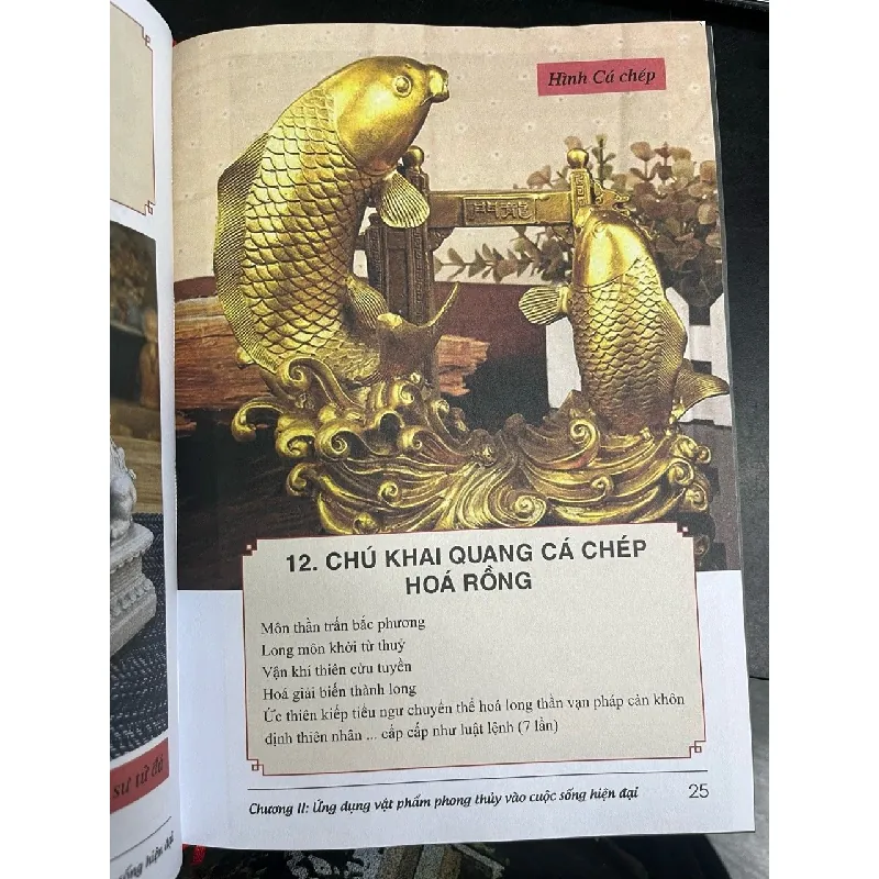 Vật phẩm phong thuỷ, câu chú khai quang linh vật phong thuỷ và các bài cúng cổ truyền Việt Nam - Đinh Ba Lan 700876