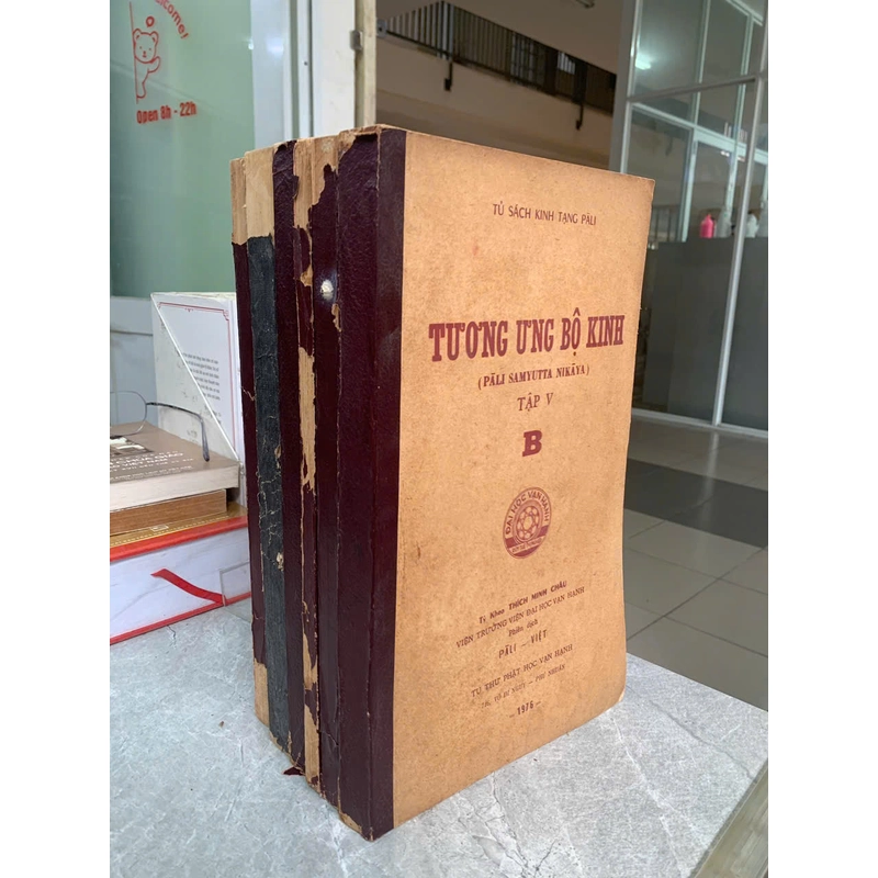 TƯƠNG ƯNG BỘ KINH (PALI SAMYUTTA NIKAYA) - THÍCH MINH CHÂU 529984