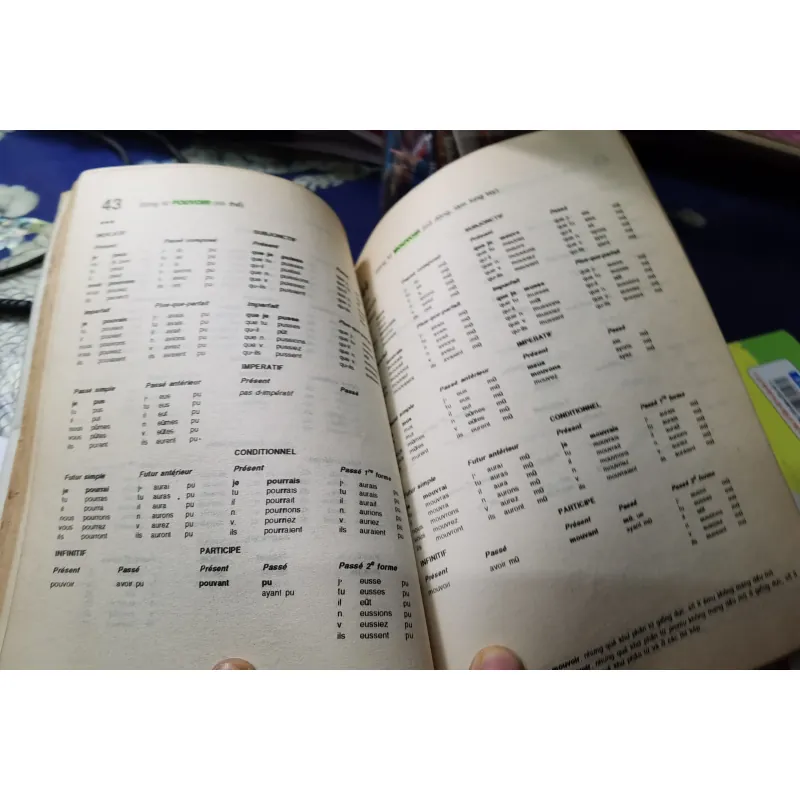 [Tiếng Pháp cơ bản] Cách chia 12000 Động từ Tiếng Pháp - Xuân Hùng 1008538