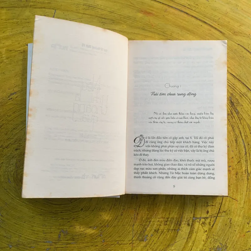 NẾU CHỈ LÀ THOÁNG QUA - MAI TỬ HOÀNG THỜI VŨ 991251