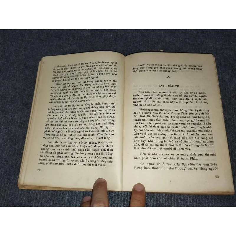 VIỆT NAM PHONG TỤC - PHAN KẾ BÍNH 957939