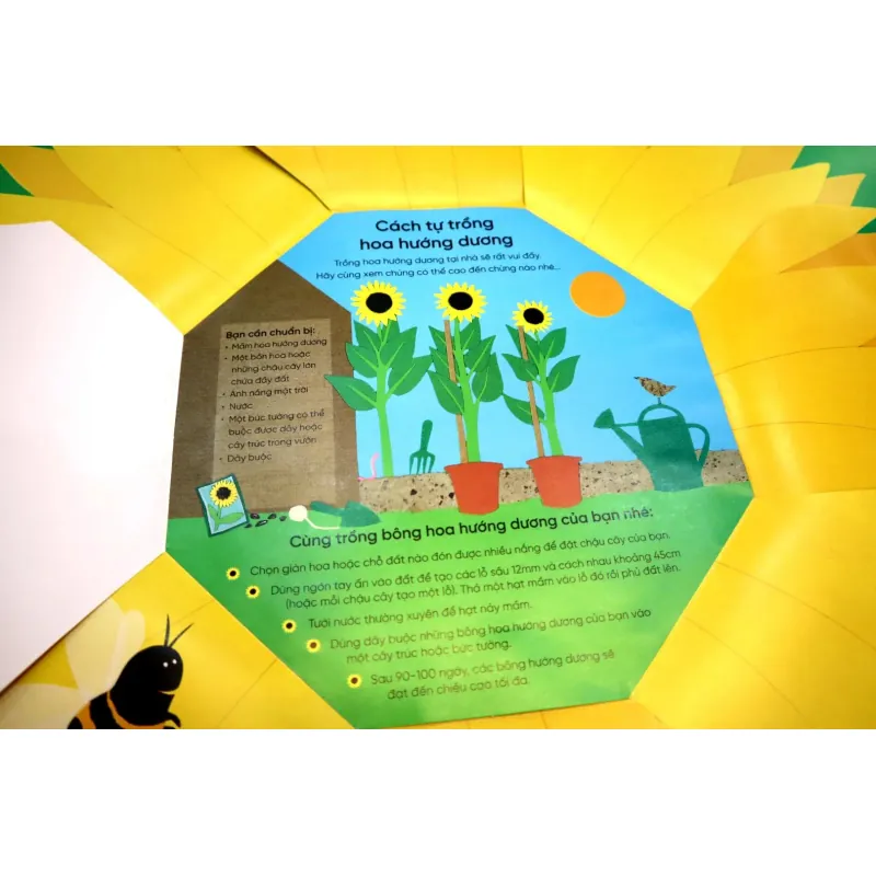 Vòng Đời Kỳ Diệu - Hoa Hướng Dương Lớn Lên Như Thế Nào?  753555