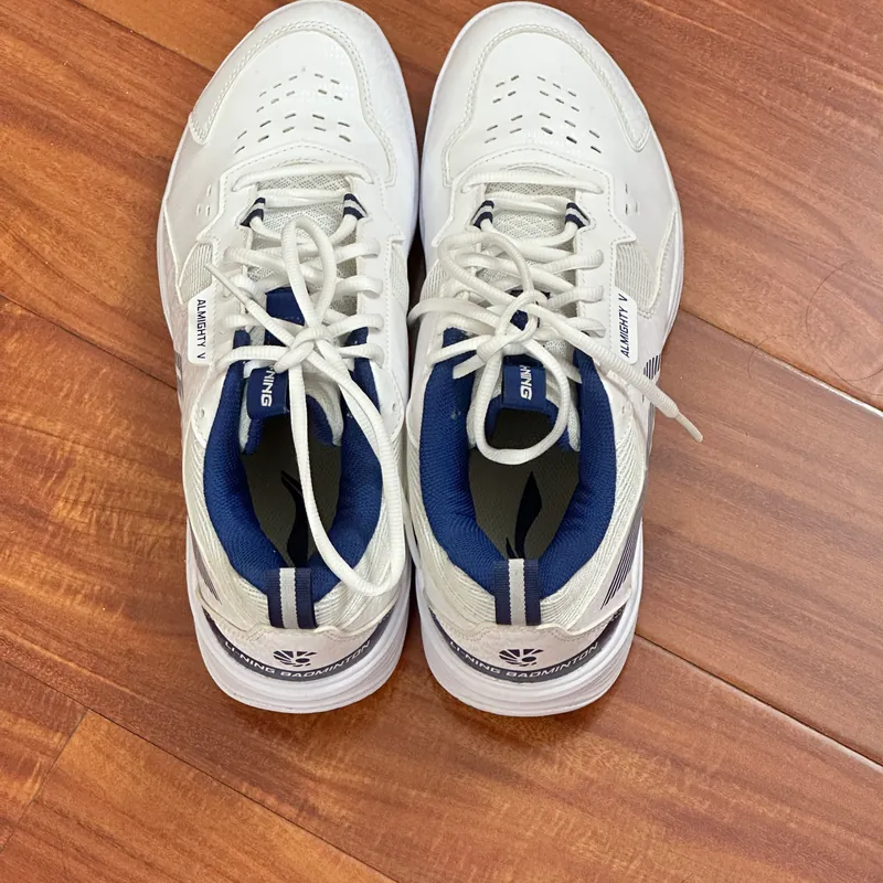 Giày Cầu Lông/Pickleball Nam Thể Thao Li-Ning Almighty V 603219