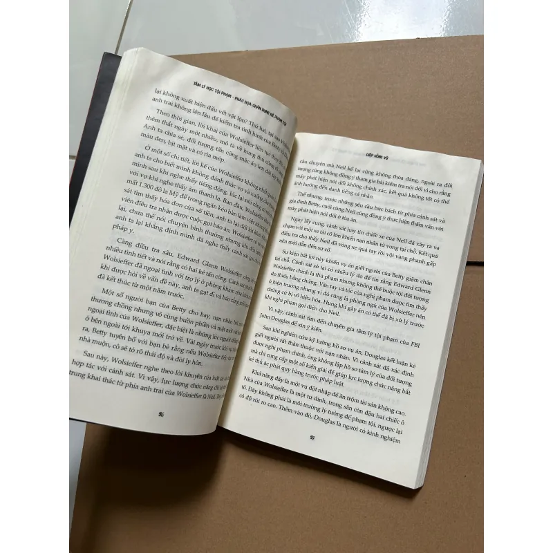 Tâm lý học tội phạm - phát họa chân dung kẻ phạm tội (ẩm góc trên) 745987