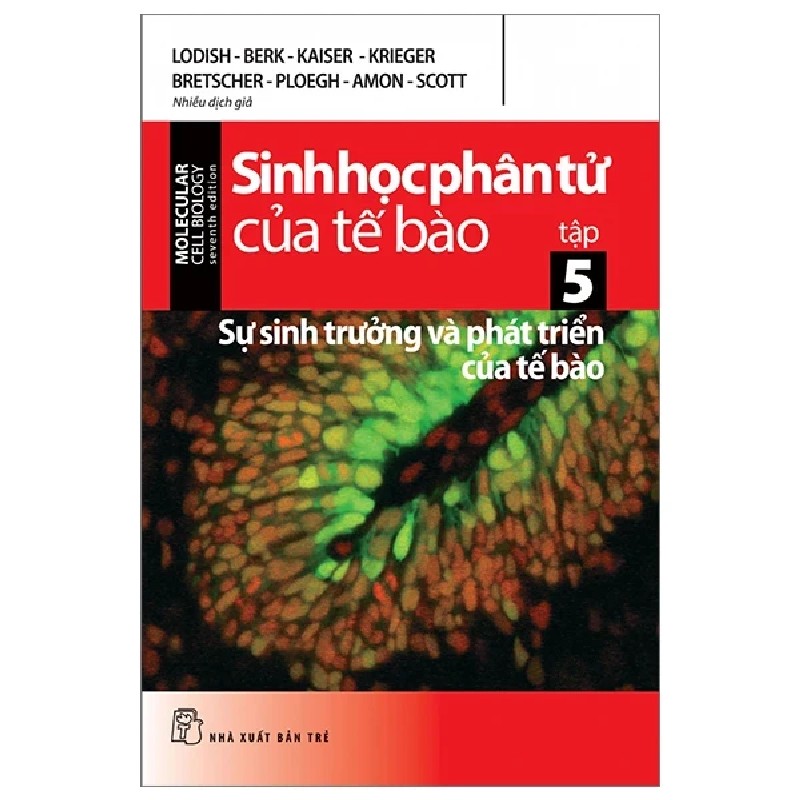 Sinh Học Phân Tử Của Tế Bào - Tập 5: Sự Sinh Trưởng & Phát Triển Của Tế Bào - Nhiều Tác Giả 186248