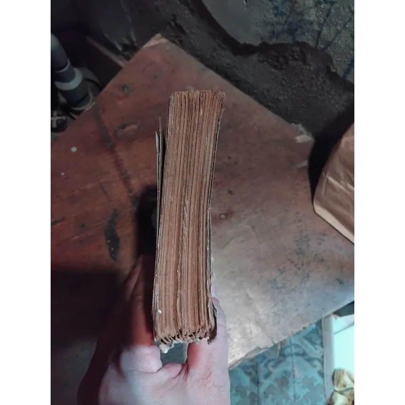 Tiểu thuyết Thân phận của tình yêu ( Nỗi buồn chiến tranh ) của Bảo Ninh  733825