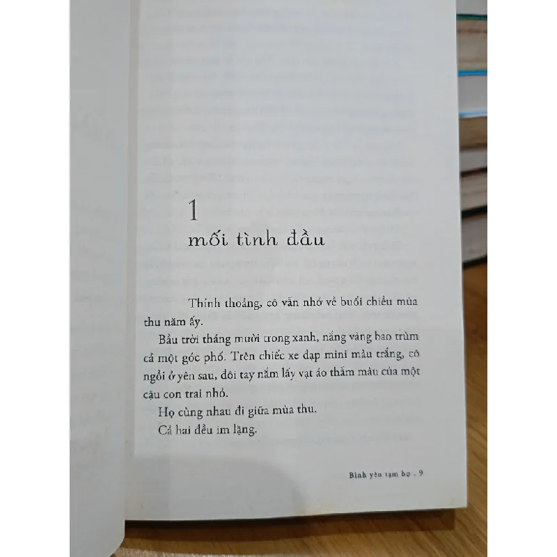 Bình yên tạm bợ - Trần Lãng Diệp 577763