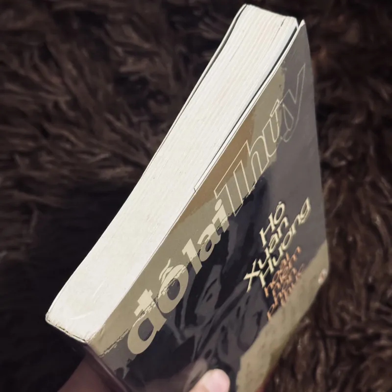 Hồ Xuân Hương Quan Niệm Phồn Thực 997744