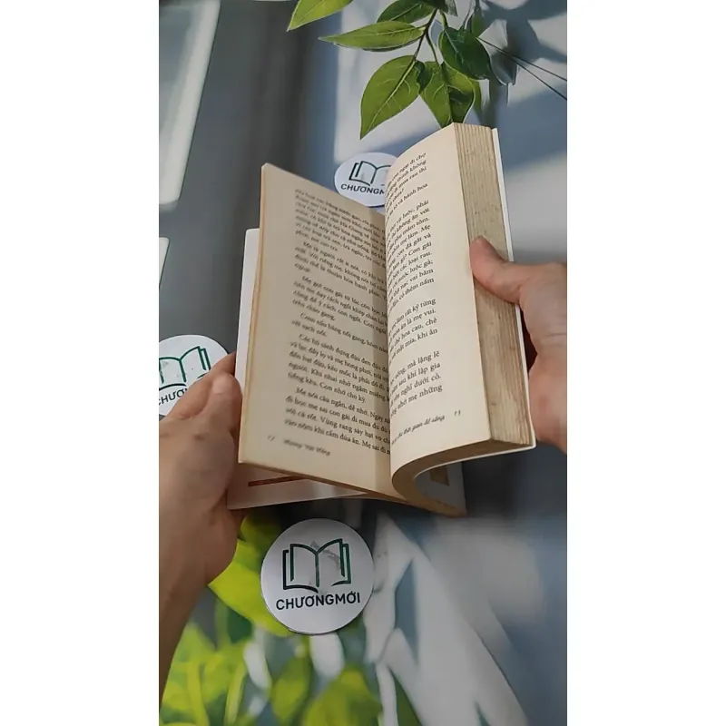 Tiêu Gì Cho Thời Gian Để Sống - Hoàng Việt Hằng 727247