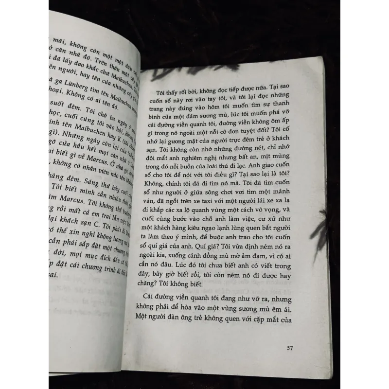 Và khi tro bụi 993241