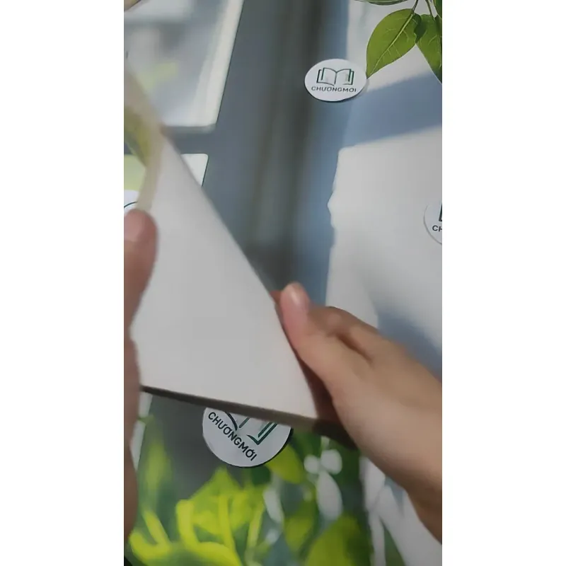 Vận Mệnh Tình Duyên Hôn Nhân Sự Nghiệp Tài Lộc Tính Cách Qua 12 Con Giáp Trọn Đời - Hà Th 727385