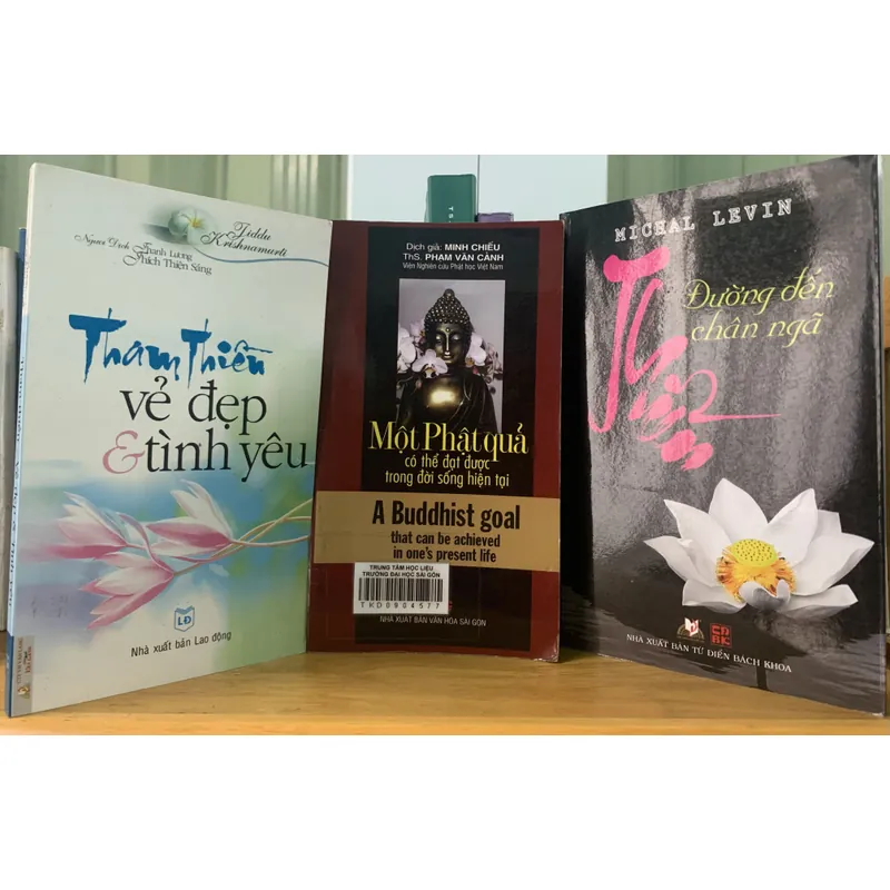 Tham thiền vẻ đẹp và tình yêu; 594485