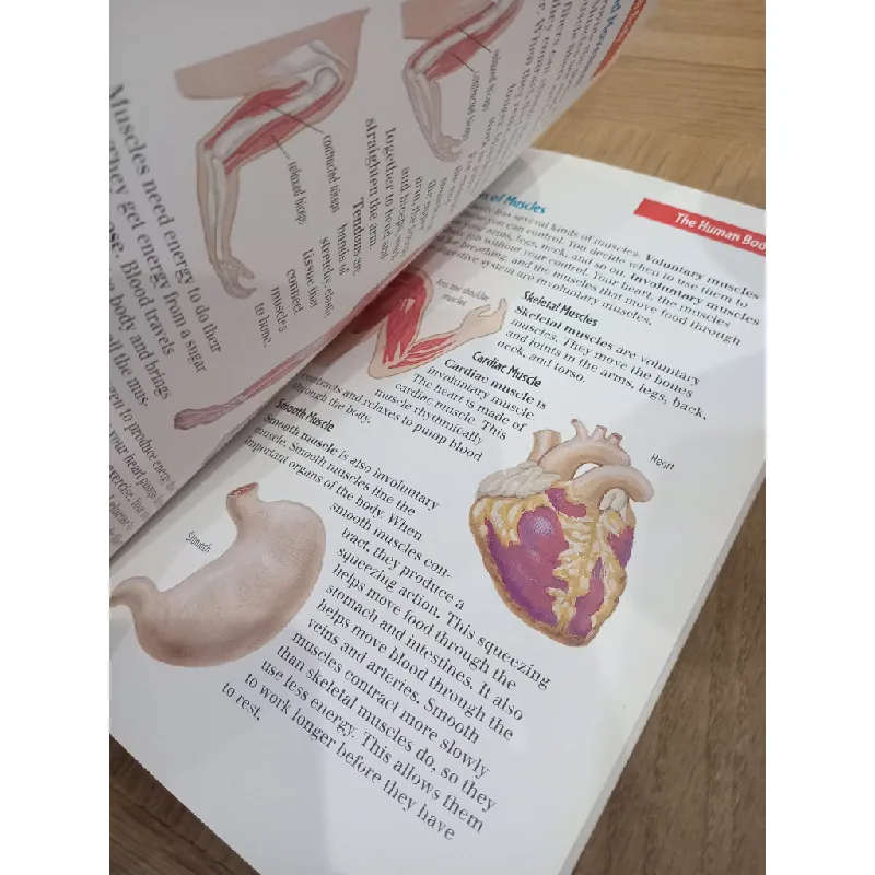 Handy homework helper Science 599302