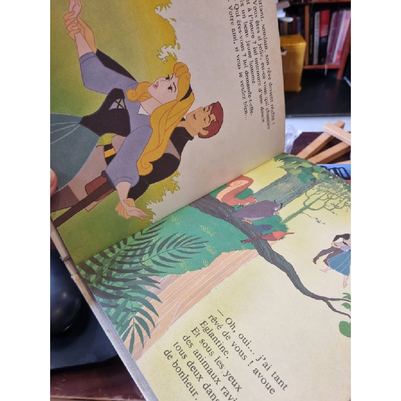 La belle au bois dormant (Walt Disney) 352992