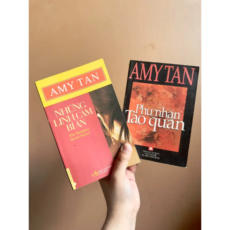 Combo Sách Amy Tan - Phu Nhân Táo Quân/Những Linh Cảm Bí Ẩn 737986
