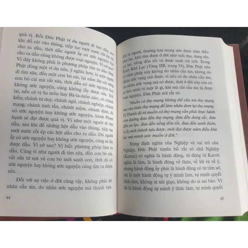 Sách Hãy Tự Mình Thắp Đuốc Lên Mà Đi - Thích Minh Châu% 688908