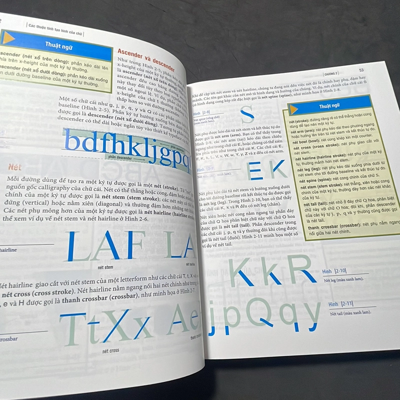 Khám phá Typography Tova Rabinowitz FPT 329488