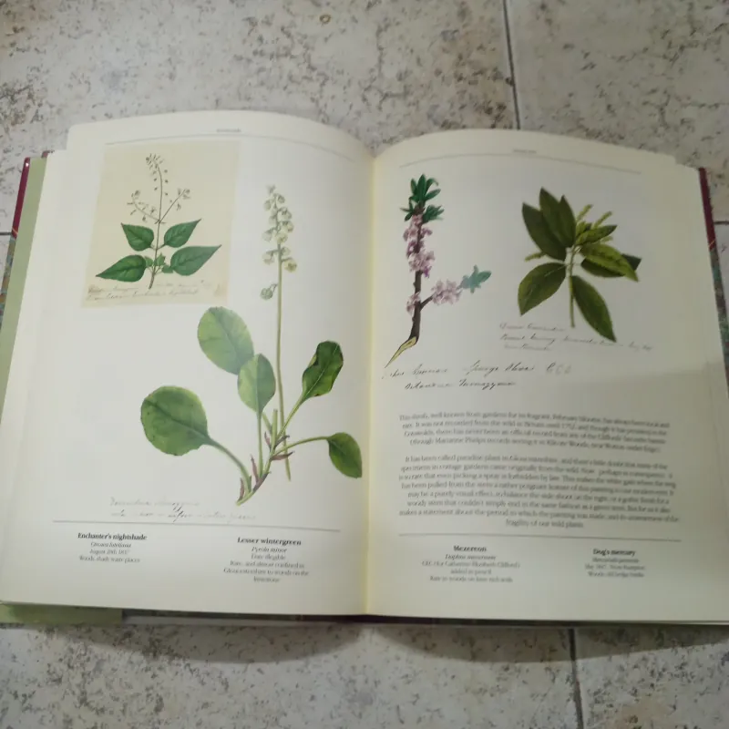 The Frampton Flora - Richard Mabey 934529