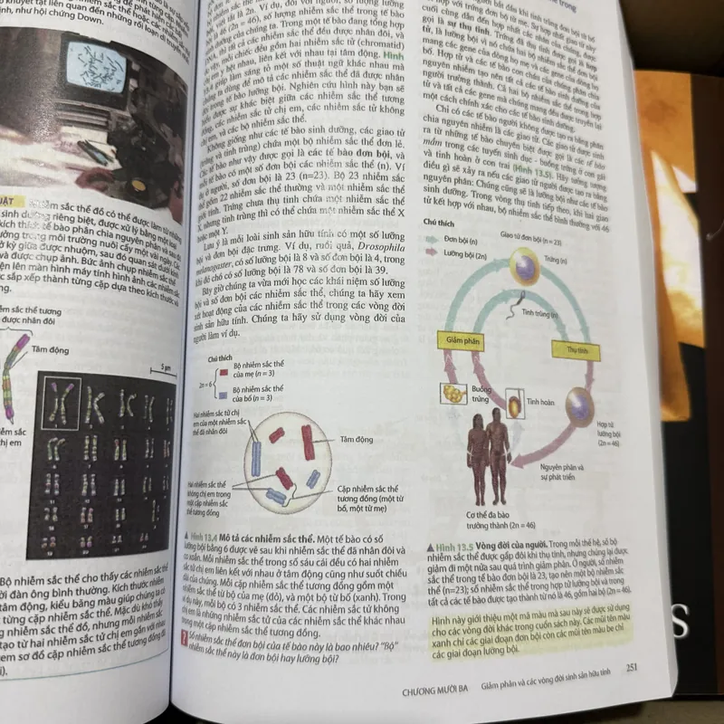 [Miễn ship] Sách Sinh Học Campbell Reece 707824