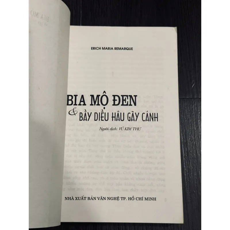 Combo E.M. Remarque 596375