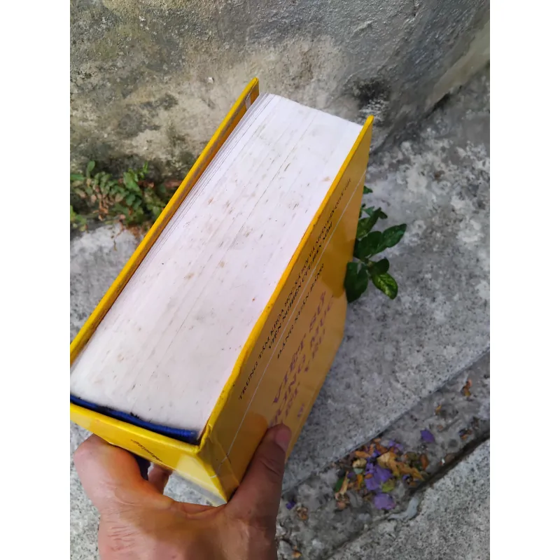 Việt sử cương mục tiết yếu của Đặng Xuân Bảng  1026057