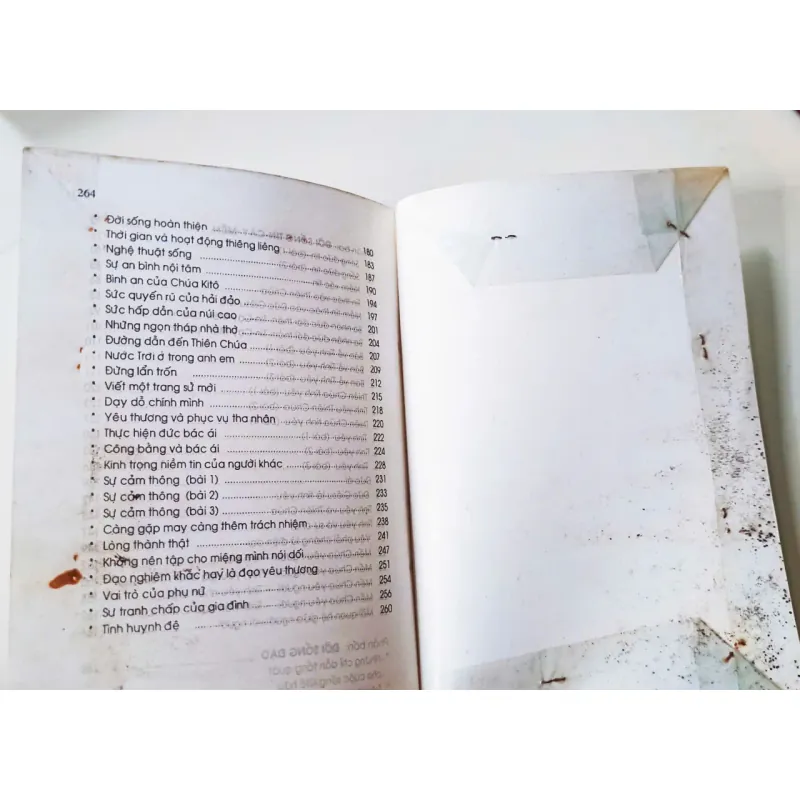 Từ suy niệm đến chiêm niệm 🌻 592259
