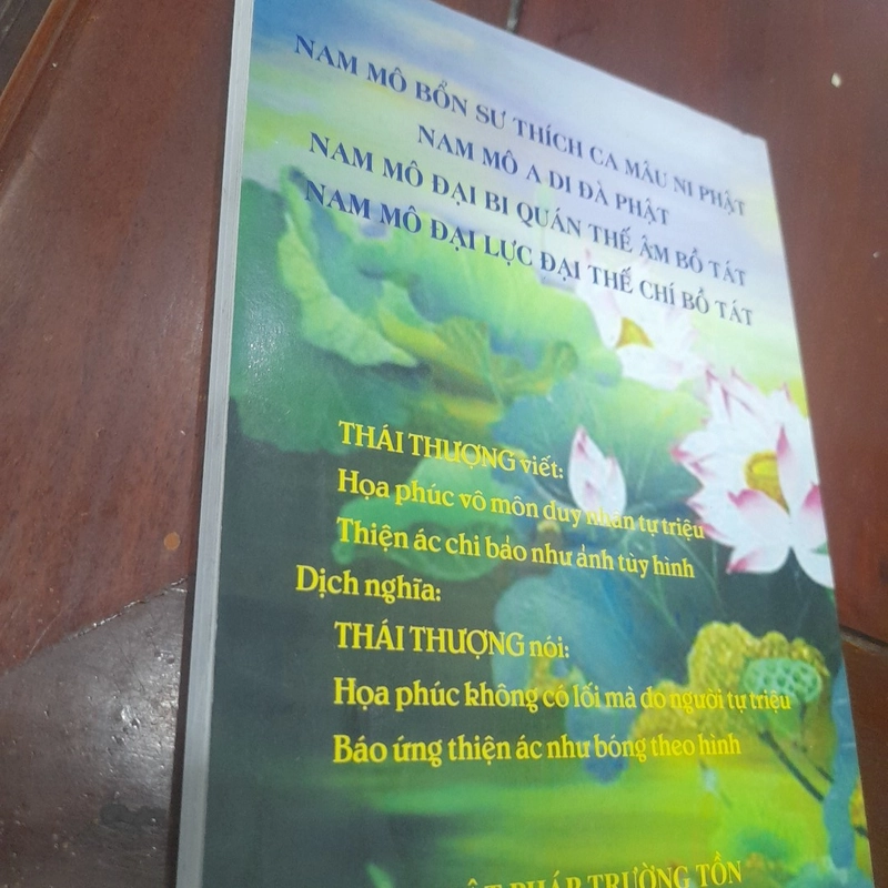 THÁI THƯỢNG CẢM ỨNG THIÊN, những câu chuyện nhân quả 530282