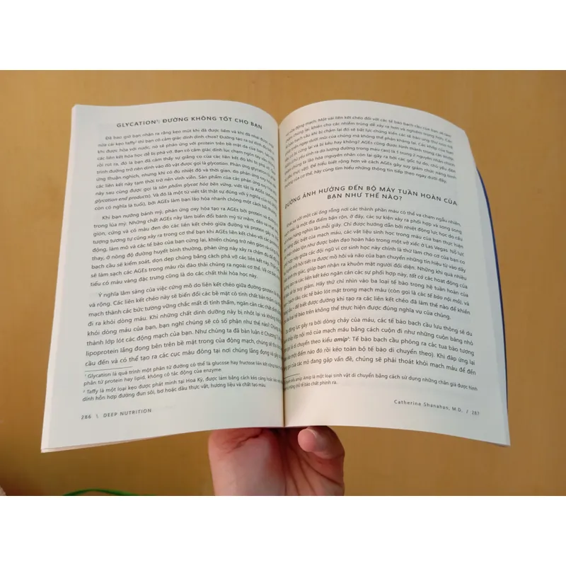 Dinh dưỡng chyên sâu Deep Nutrition, sách Việt  715301