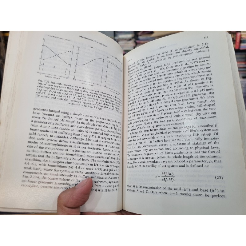 LABORATORY TECHNIQUES IN BIOCHEMISTRY AND MOLECULAR BIOLOGY - IMMOBILIZED pH GRADIENTS : THEORY AND METHODOLOGY - P.G. Righetti 140022