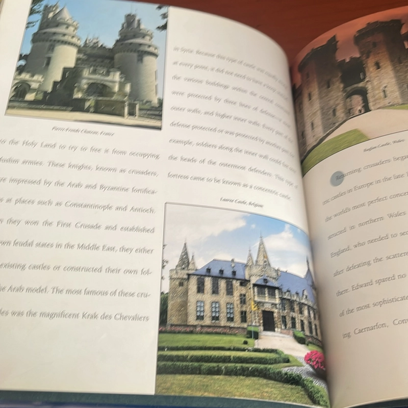 PICTURE BOOK Medieval castles 536682