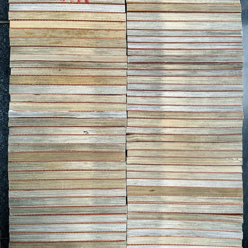Thám Tử Lừng Danh Conan 570263