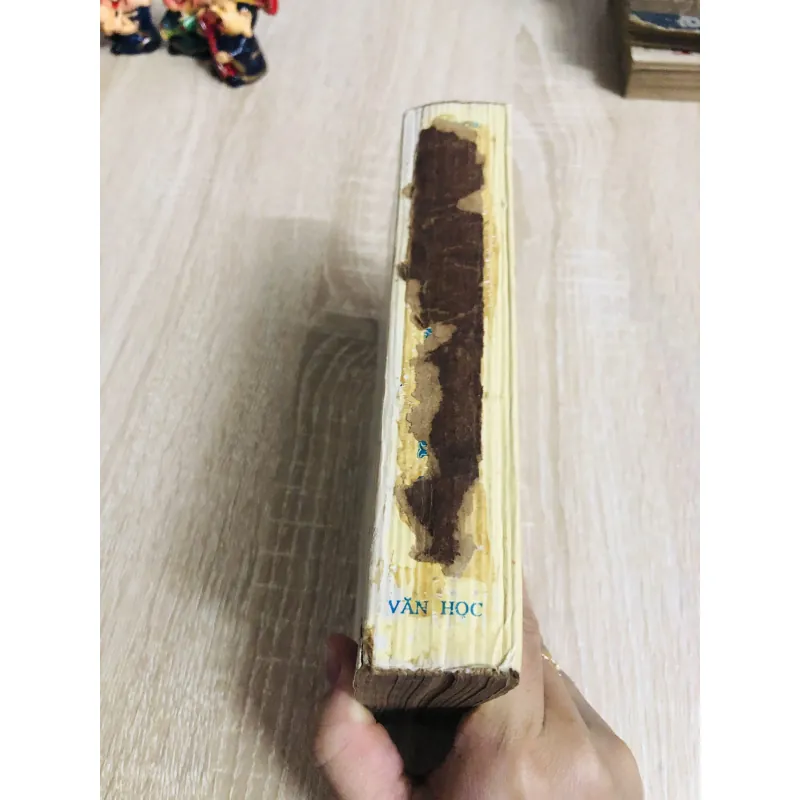 LAO ĐỘNG BIỂN CẢ – Victor Hugo 960020