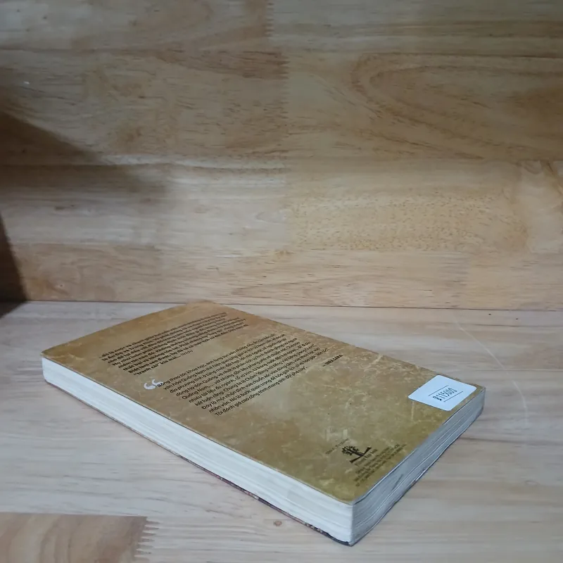 Có 500 Năm Như Thế (Bản Sắc Quảng Nam Từ Góc Nhìn Phân Kỳ Lịch Sử) - Hồ Trung Tú 785997