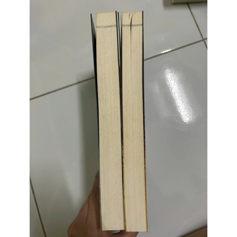 Trảm Long Tập 1, 2 474294