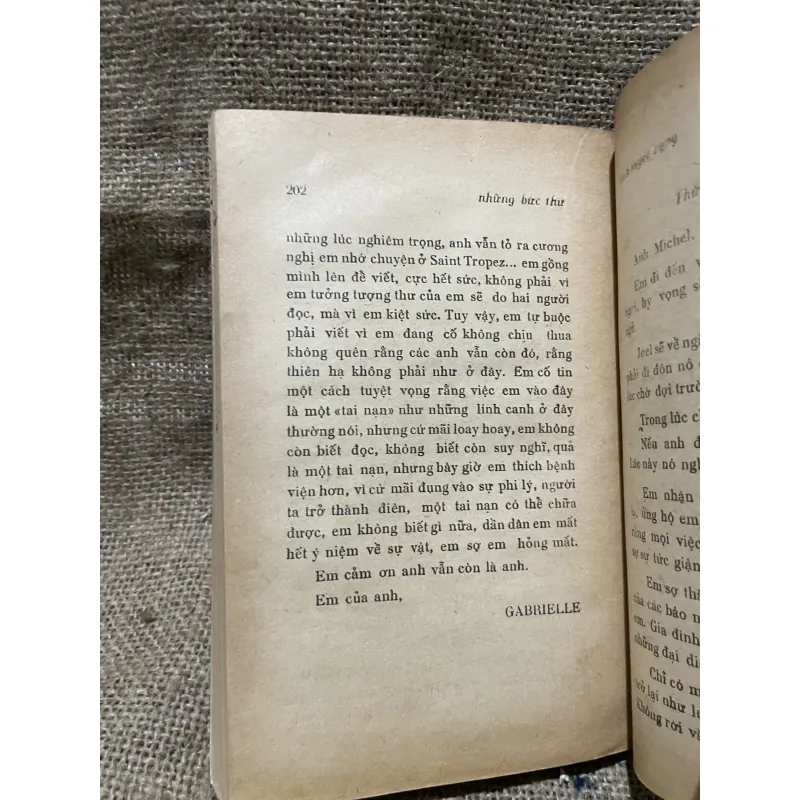 Ruồi trâu - bìa đẹp  933136