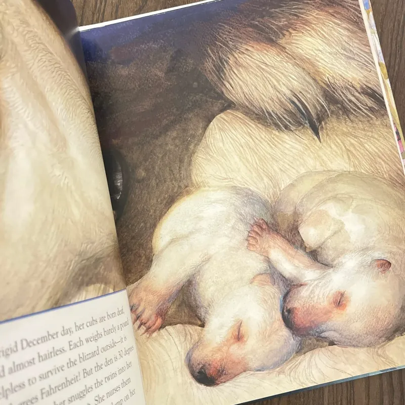 ✨𝑰𝒄𝒆 𝑩𝒆𝒂𝒓𝒔✨ 749617