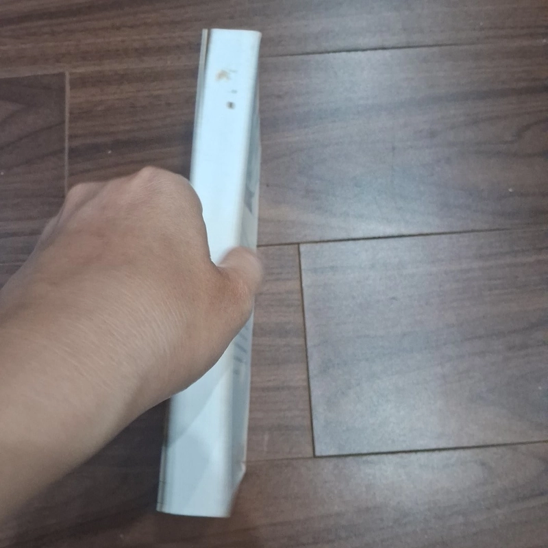 Nụ cười Gioconda 506160