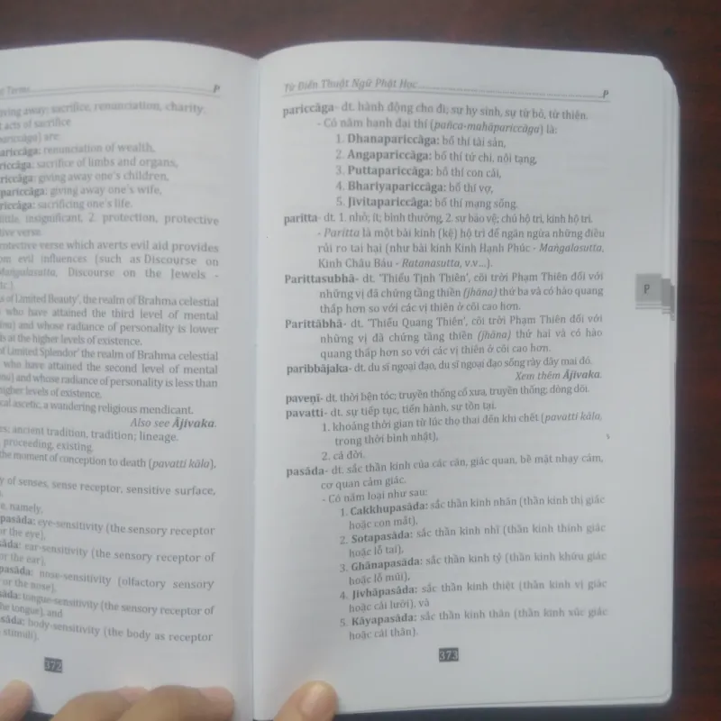 [Sách Phật Giáo] Từ Điển Thuật Ngữ Phật Học Pali Anh Việt (Tỳ Kheo Đức Hiền) 907578