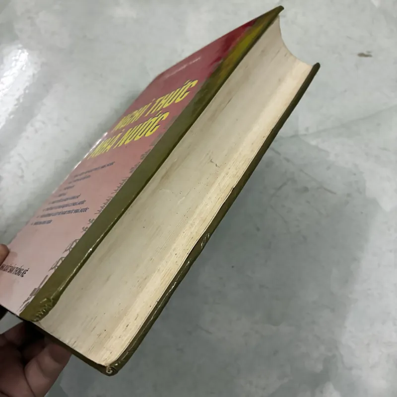 Nghi thức nhà nước - Lưu Kiếm Thanh 1010188