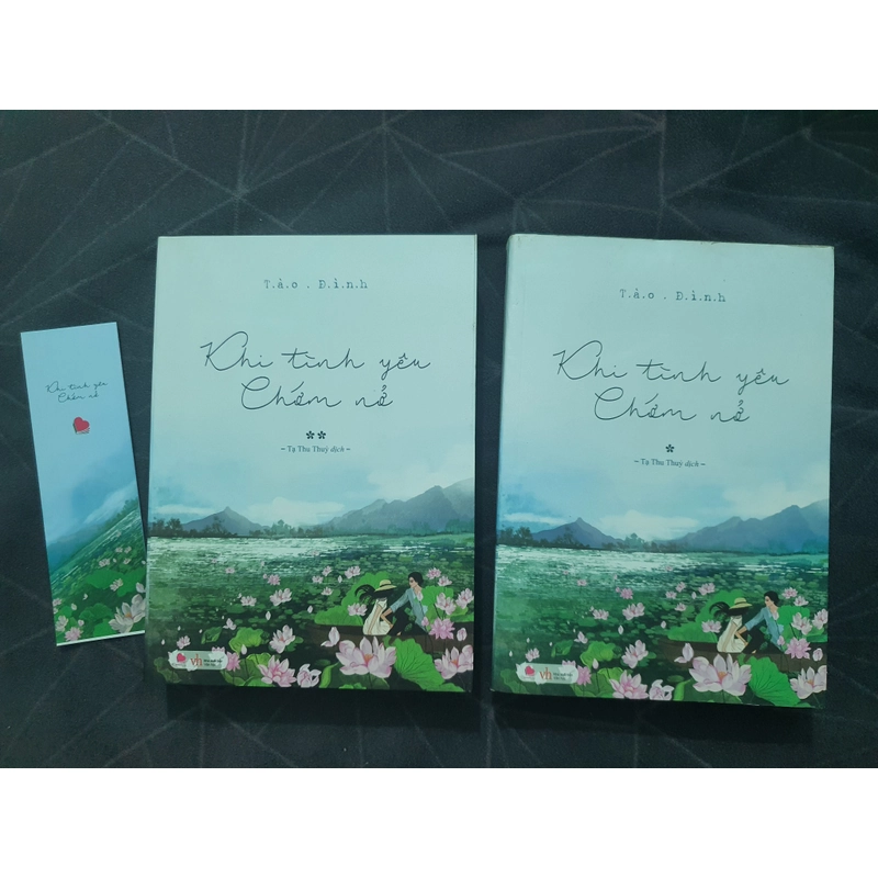 Combo "Khi tình yêu chớm nở" (2 tập, new) - Tào Đình 530936