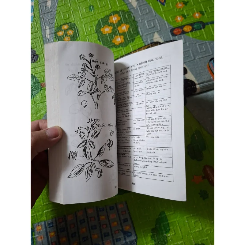 Đông Y Trị Ung Thư: Những Bài Thuốc Đông Y Cho Mọi Nhà 1027665