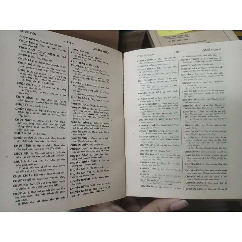 TỰ ĐIỂN VIỆT NAM 716681